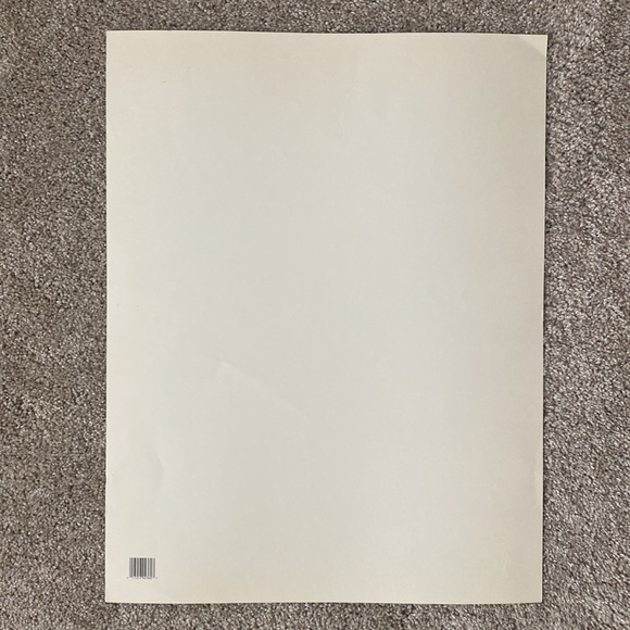 Class Chart, Bar Graph, and Line Graph Posters - Picture 4 of 8